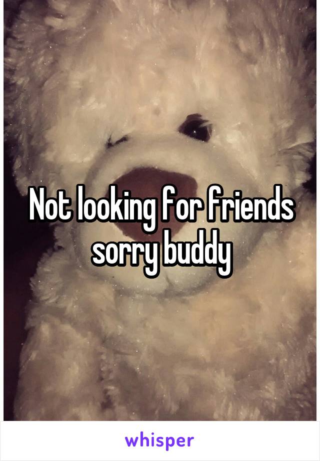 Not looking for friends sorry buddy