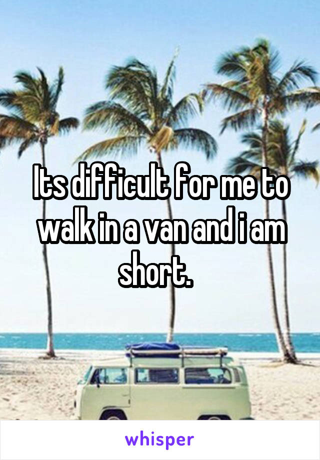 Its difficult for me to walk in a van and i am short.  