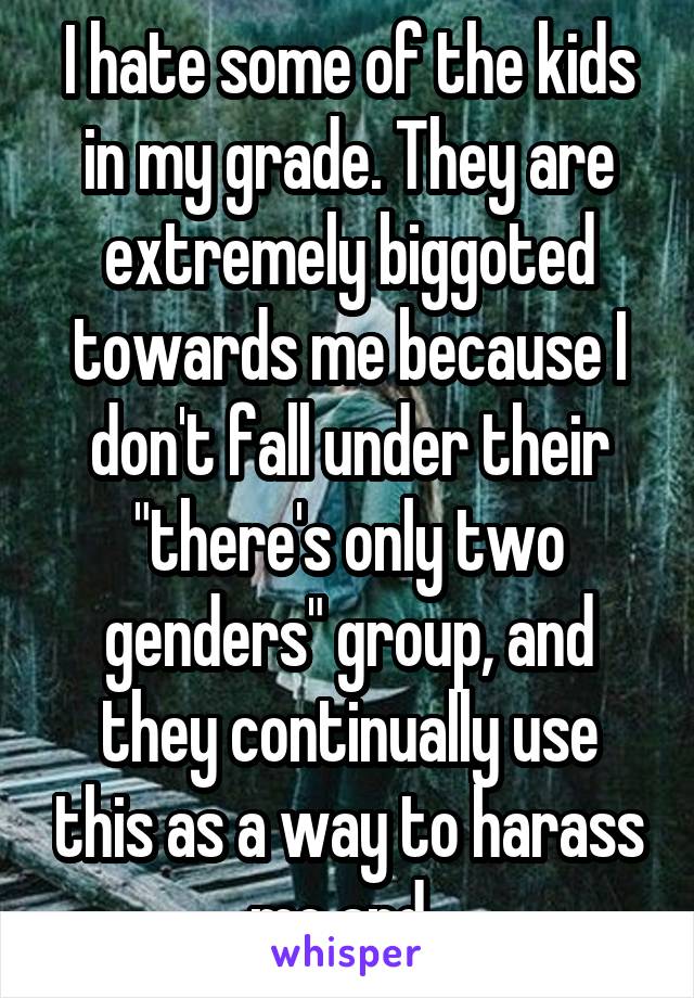 I hate some of the kids in my grade. They are extremely biggoted towards me because I don't fall under their "there's only two genders" group, and they continually use this as a way to harass me and..