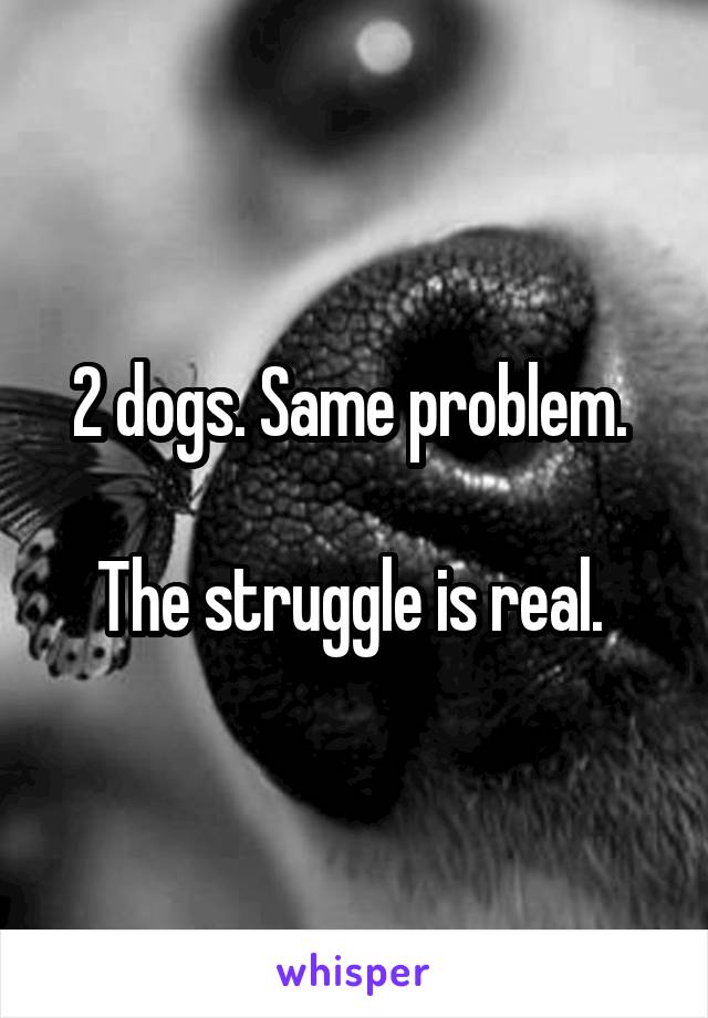 2 dogs. Same problem. 

The struggle is real. 