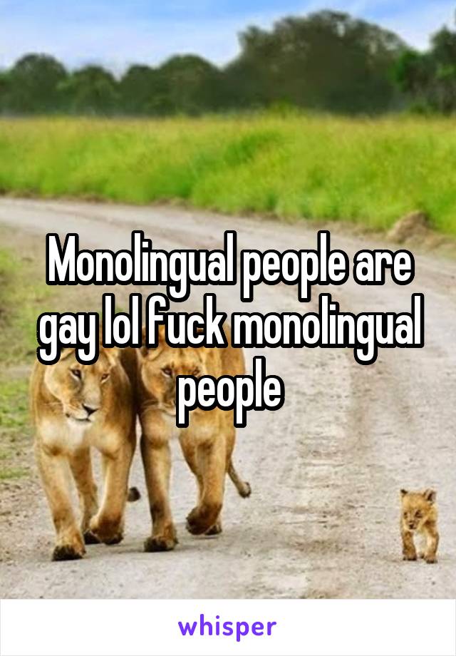 Monolingual people are gay lol fuck monolingual people