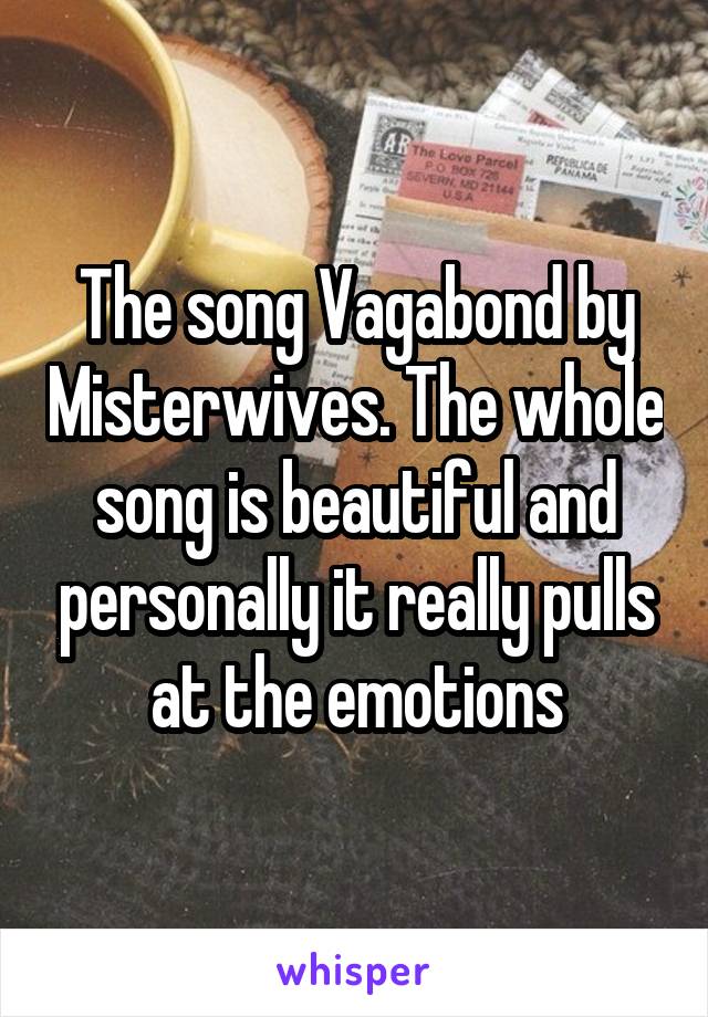 The song Vagabond by Misterwives. The whole song is beautiful and personally it really pulls at the emotions