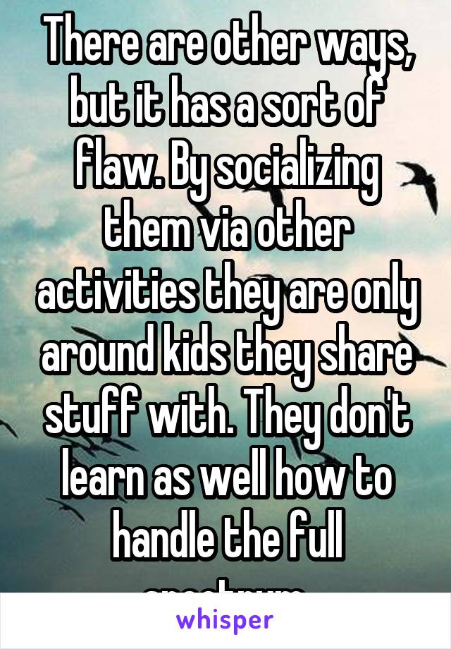 There are other ways, but it has a sort of flaw. By socializing them via other activities they are only around kids they share stuff with. They don't learn as well how to handle the full spectrum.