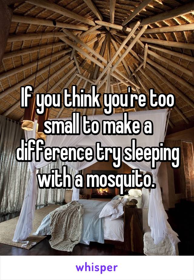 If you think you're too small to make a difference try sleeping with a mosquito. 