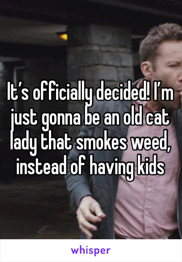 It’s officially decided! I’m just gonna be an old cat lady that smokes weed, instead of having kids
