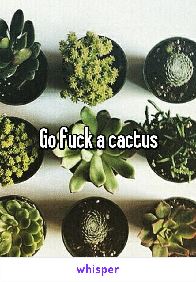 Go fuck a cactus