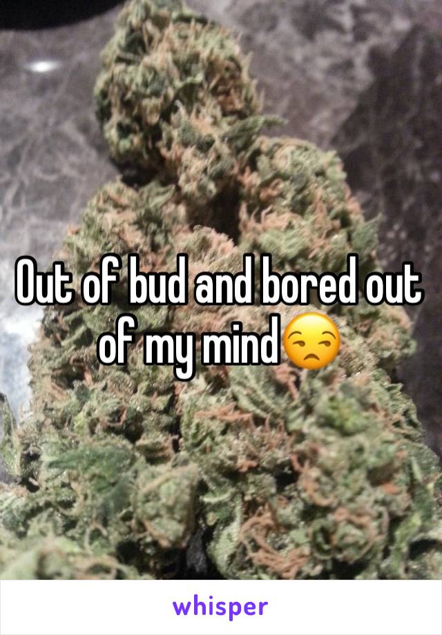 Out of bud and bored out of my mind😒