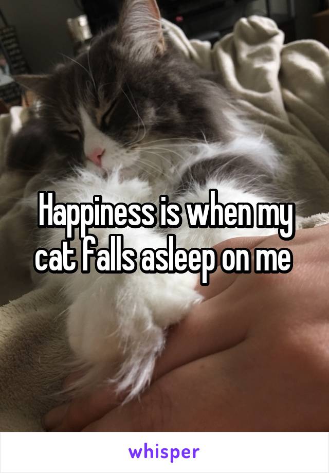 Happiness is when my cat falls asleep on me 