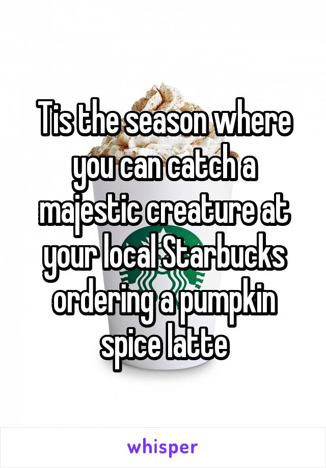 Tis the season where you can catch a majestic creature at your local Starbucks ordering a pumpkin spice latte