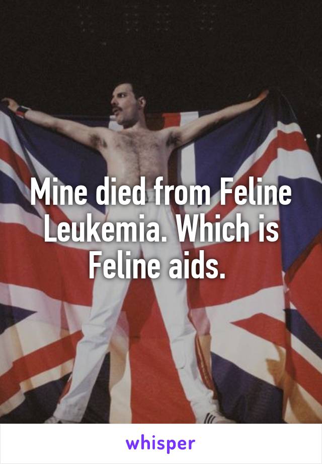 Mine died from Feline Leukemia. Which is Feline aids. 