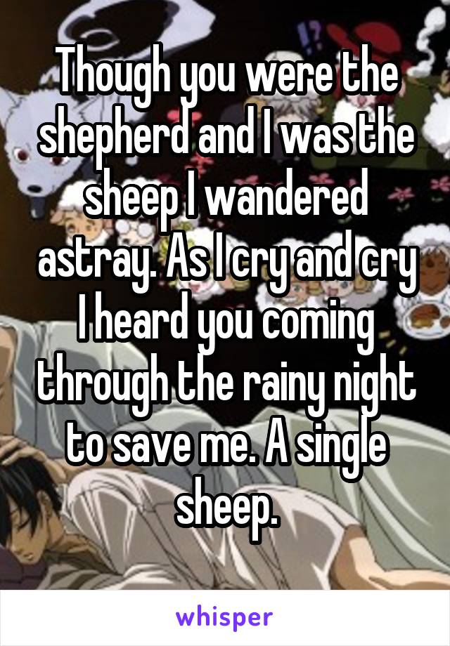 Though you were the shepherd and I was the sheep I wandered astray. As I cry and cry I heard you coming through the rainy night to save me. A single sheep.
