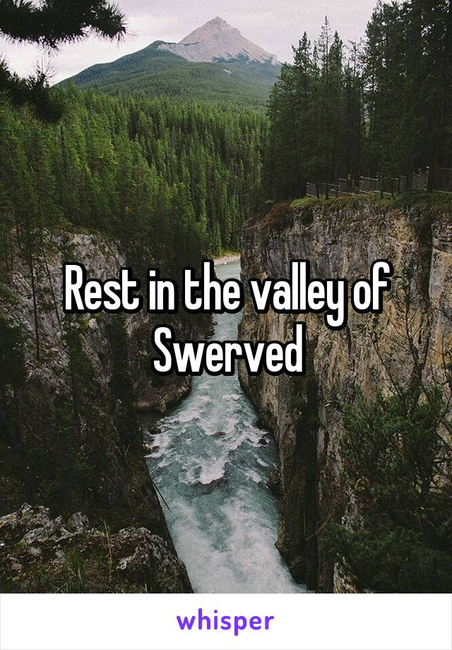 Rest in the valley of
Swerved