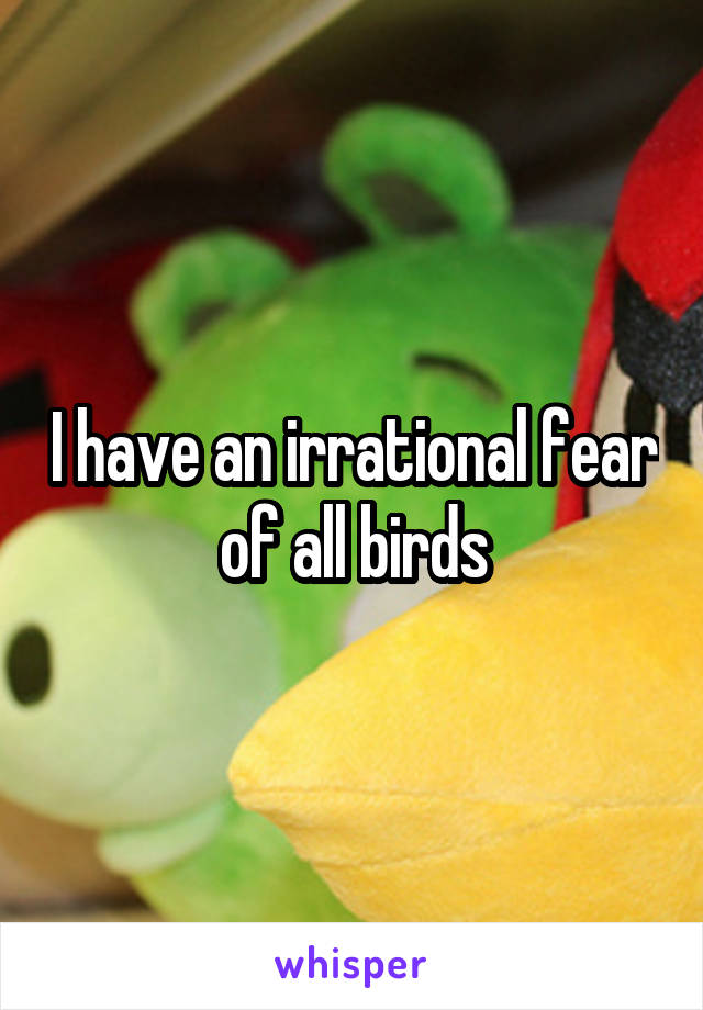 I have an irrational fear of all birds