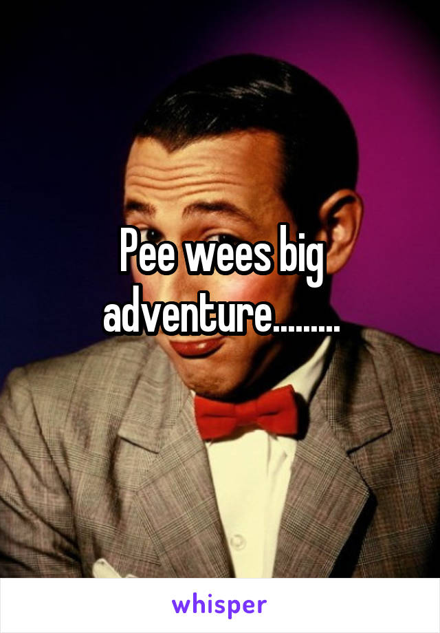 Pee wees big adventure.........
