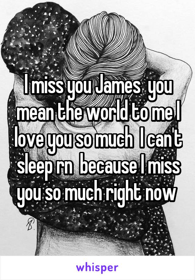 I miss you James  you mean the world to me I love you so much  I can't sleep rn  because I miss you so much right now 