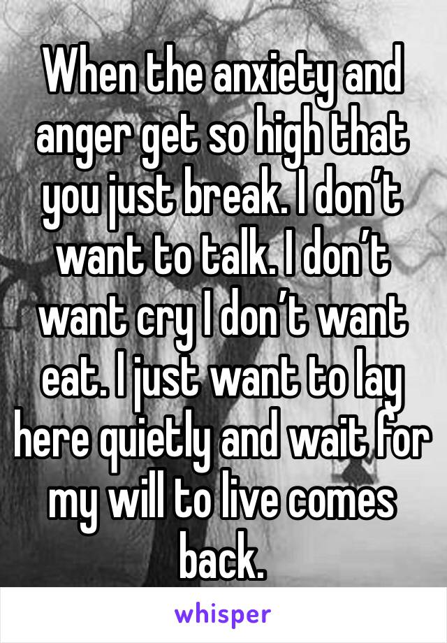 When the anxiety and anger get so high that you just break. I don’t want to talk. I don’t want cry I don’t want eat. I just want to lay here quietly and wait for my will to live comes back. 