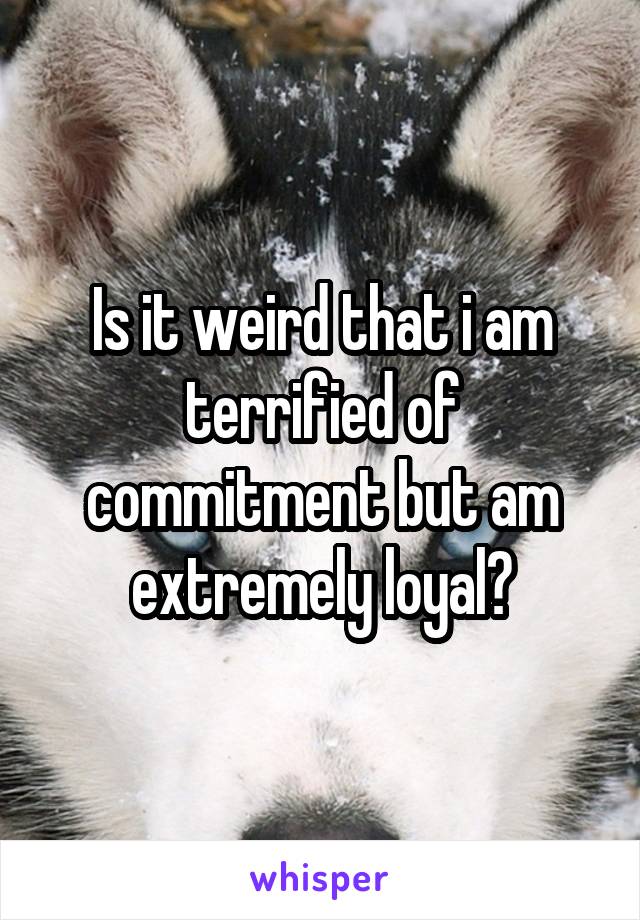 Is it weird that i am terrified of commitment but am extremely loyal?