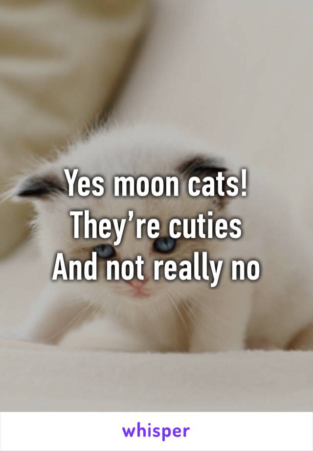 Yes moon cats! They’re cuties
And not really no 