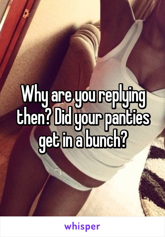 Why are you replying then? Did your panties get in a bunch?