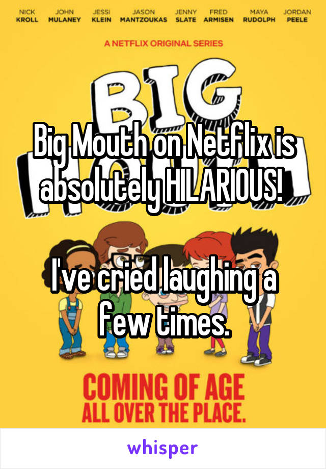 Big Mouth on Netflix is absolutely HILARIOUS! 

I've cried laughing a few times.