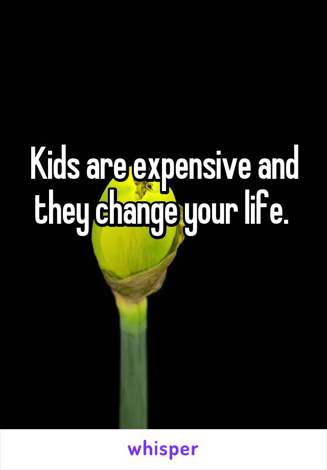 Kids are expensive and they change your life. 

