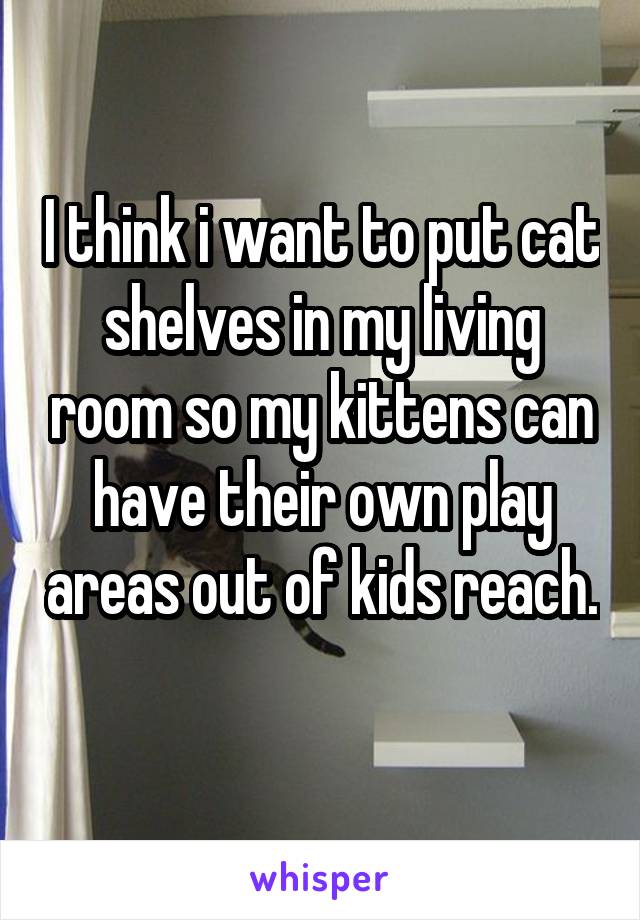 I think i want to put cat shelves in my living room so my kittens can have their own play areas out of kids reach. 