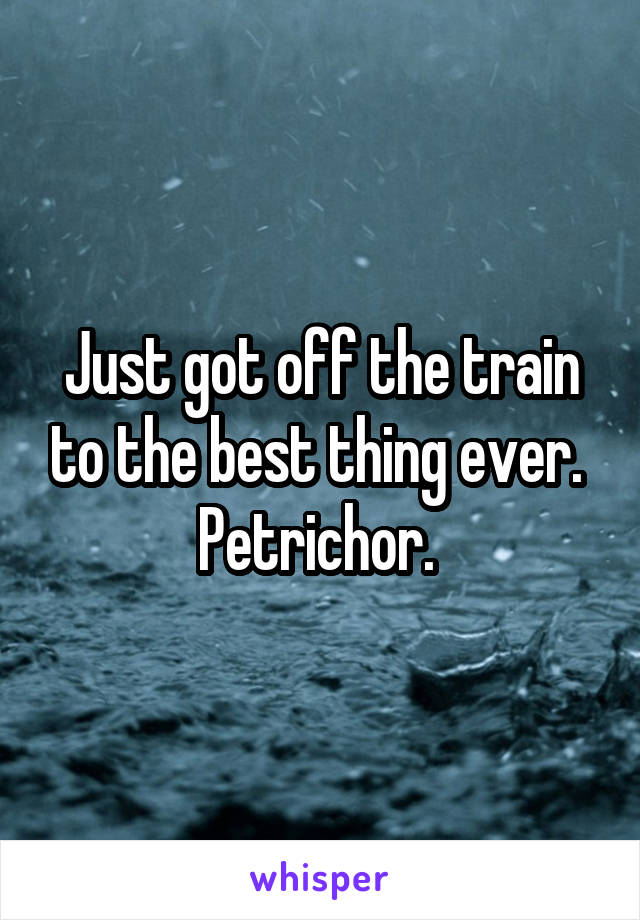 Just got off the train to the best thing ever. 
Petrichor. 