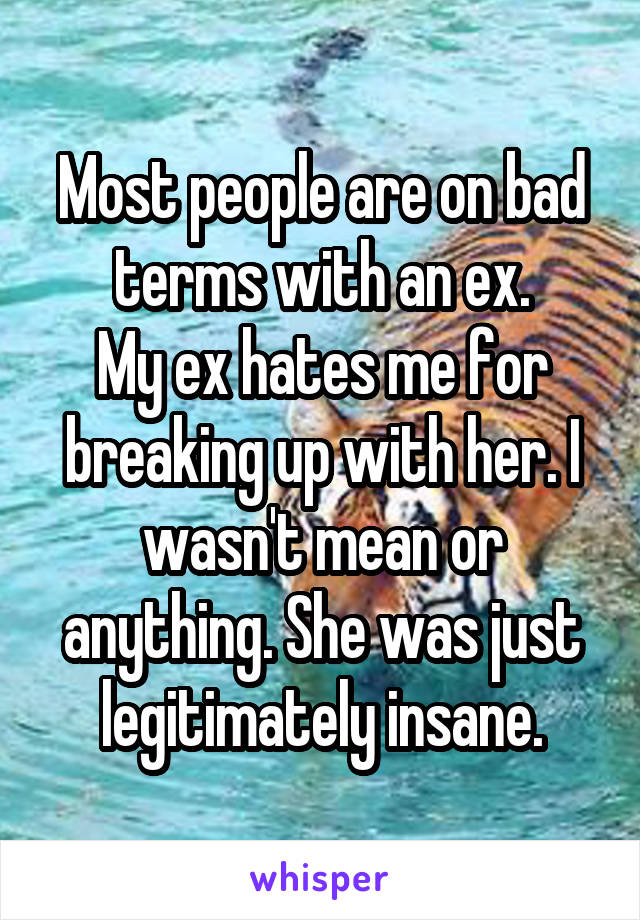Most people are on bad terms with an ex.
My ex hates me for breaking up with her. I wasn't mean or anything. She was just legitimately insane.
