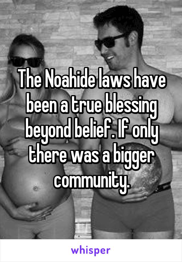 The Noahide laws have been a true blessing beyond belief. If only there was a bigger community.