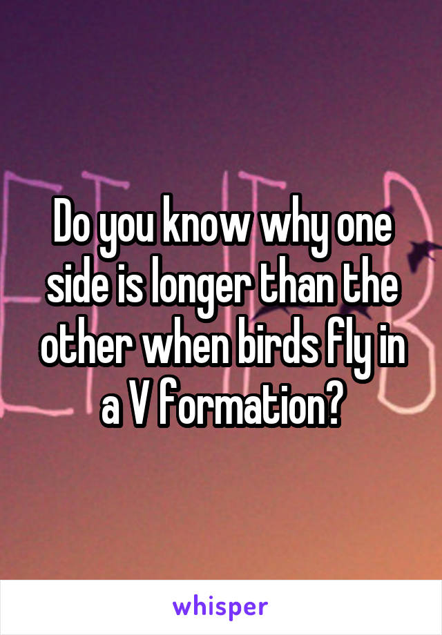 Do you know why one side is longer than the other when birds fly in a V formation?