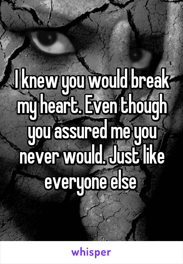 I knew you would break my heart. Even though you assured me you never would. Just like everyone else 