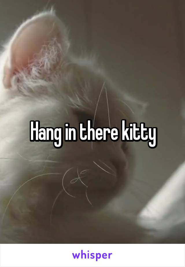 Hang in there kitty