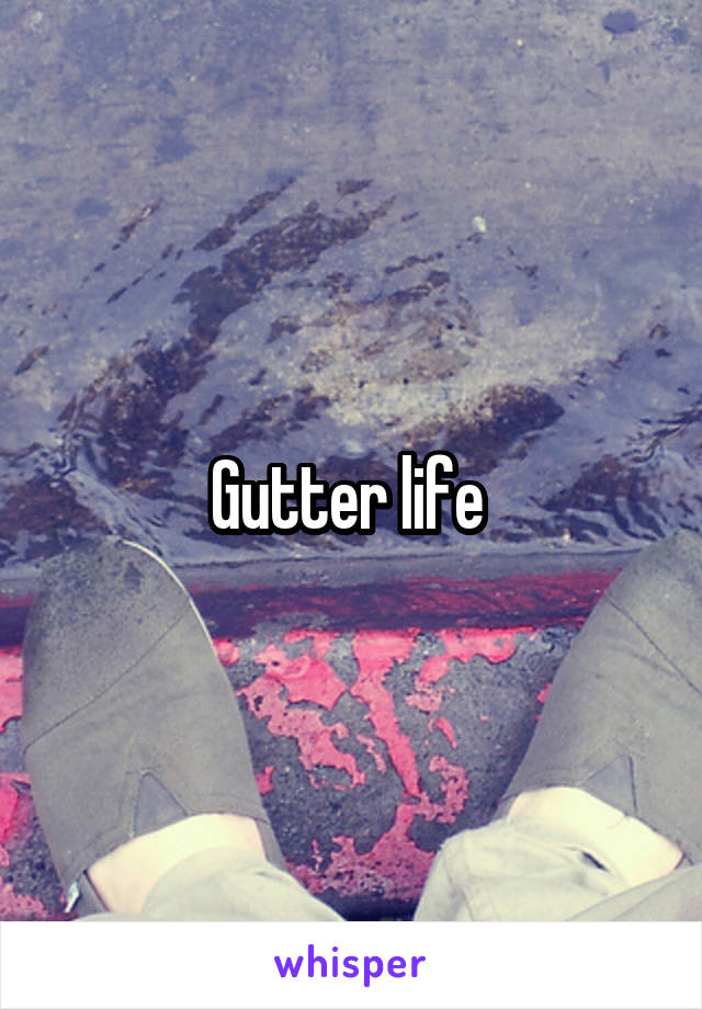 Gutter life 