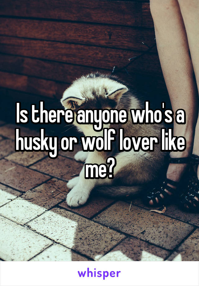Is there anyone who's a husky or wolf lover like me?