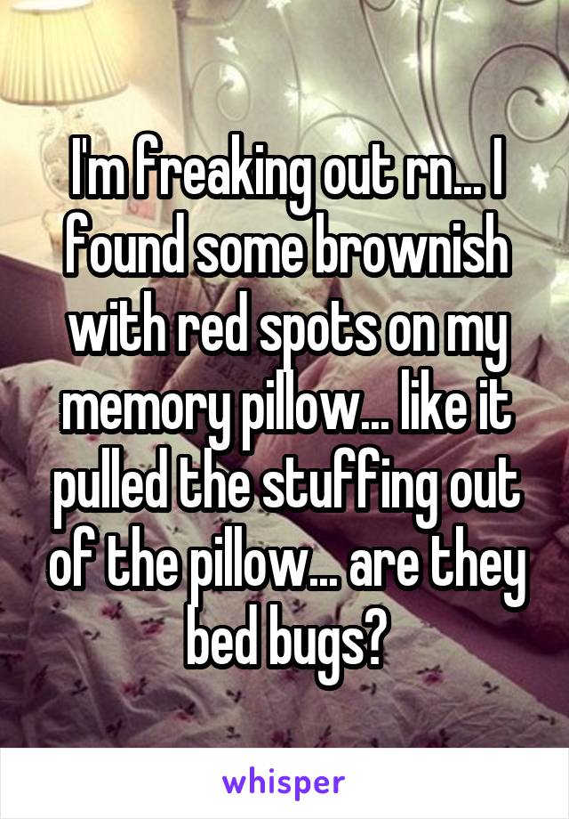 I'm freaking out rn... I found some brownish with red spots on my memory pillow... like it pulled the stuffing out of the pillow... are they bed bugs?