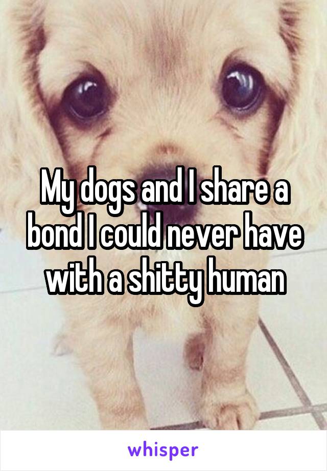 My dogs and I share a bond I could never have with a shitty human