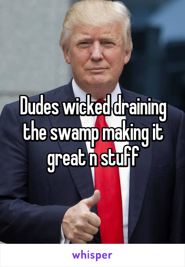 Dudes wicked draining the swamp making it great n stuff