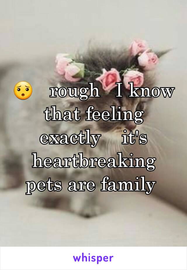 😯   rough   I know that feeling  exactly    it's   heartbreaking      pets are family 