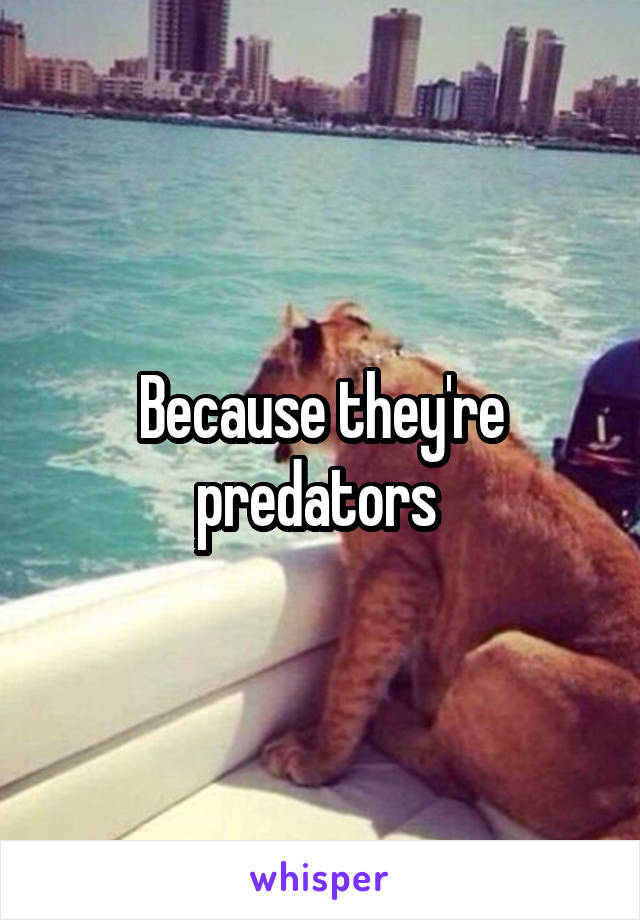 Because they're predators 