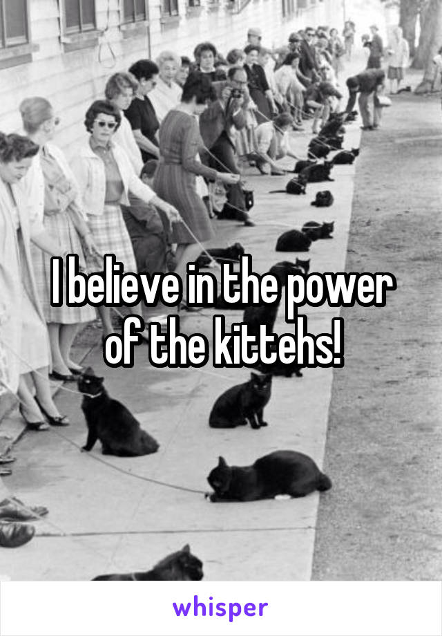 I believe in the power of the kittehs!