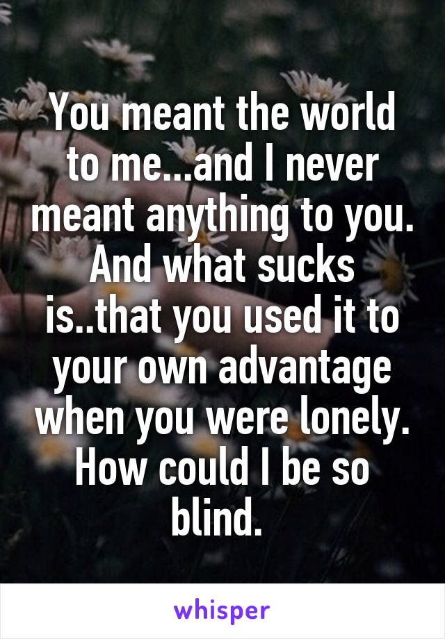 You meant the world to me...and I never meant anything to you. And what sucks is..that you used it to your own advantage when you were lonely. How could I be so blind. 