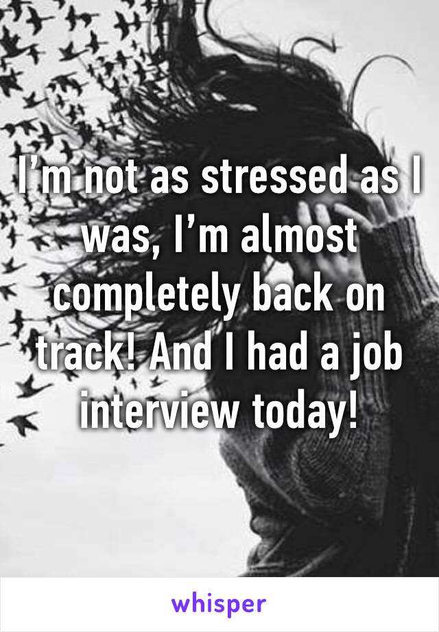 I’m not as stressed as I was, I’m almost completely back on track! And I had a job interview today!