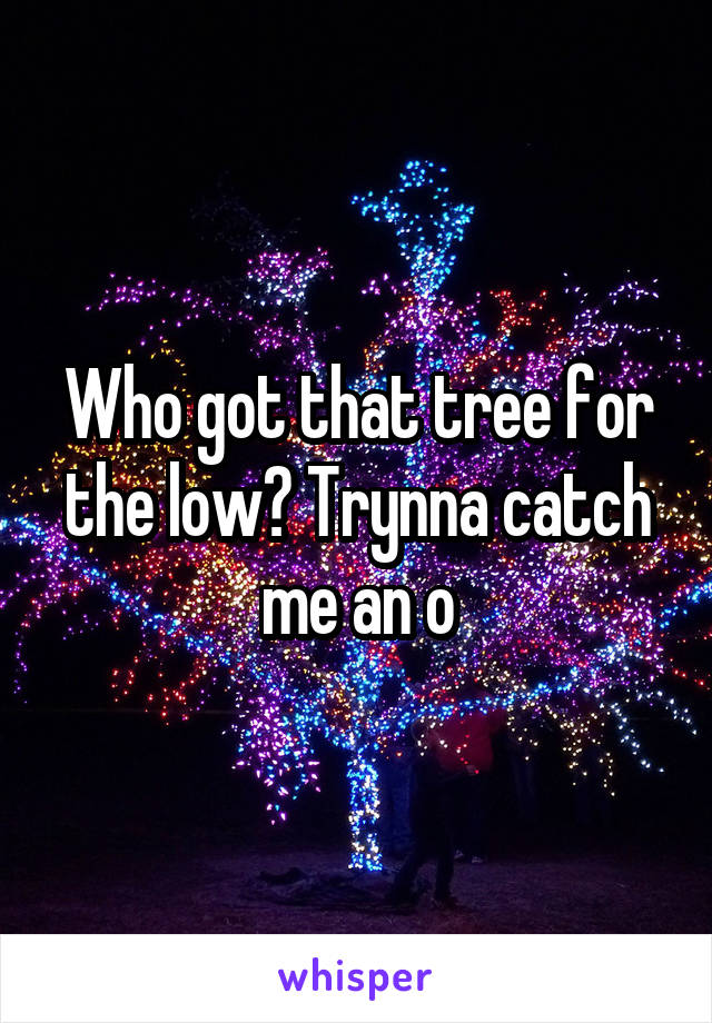 Who got that tree for the low? Trynna catch me an o