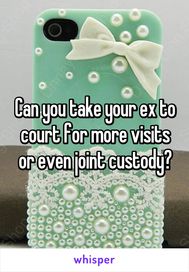 Can you take your ex to court for more visits or even joint custody?