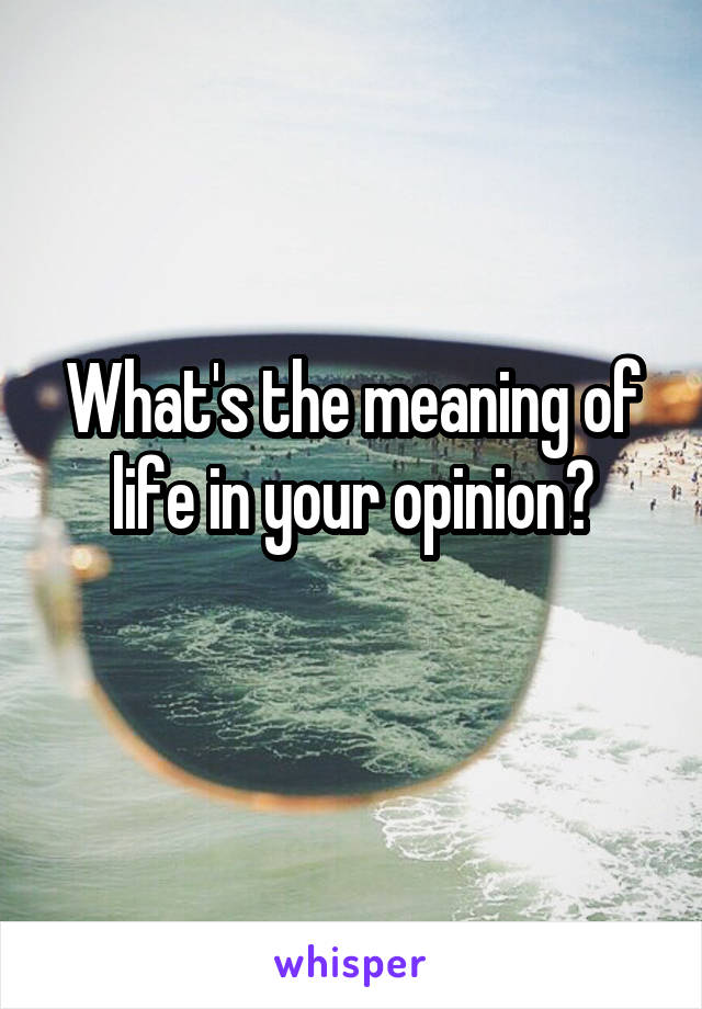 What's the meaning of life in your opinion?
