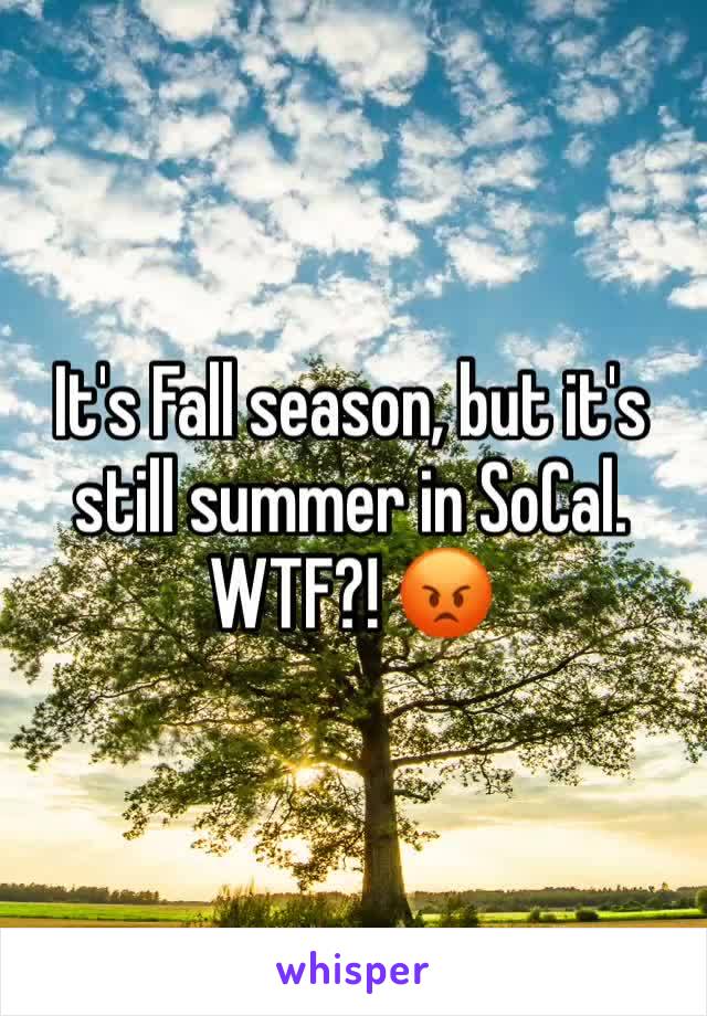 It's Fall season, but it's still summer in SoCal. WTF?! 😡