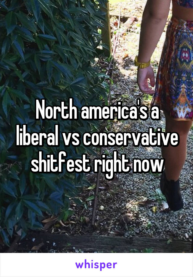 North america's a liberal vs conservative shitfest right now