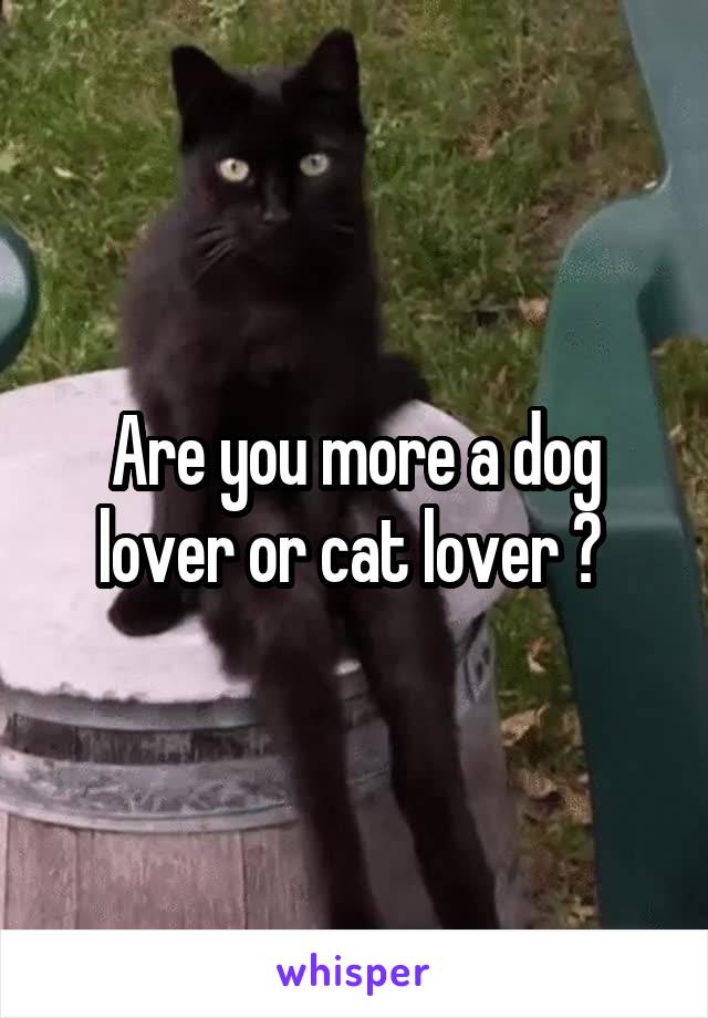 Are you more a dog lover or cat lover ? 