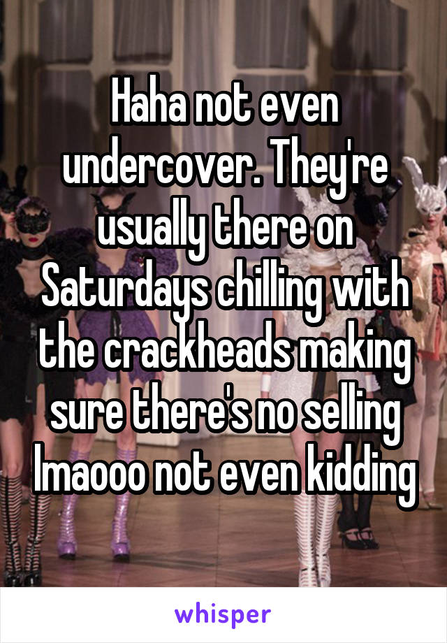 Haha not even undercover. They're usually there on Saturdays chilling with the crackheads making sure there's no selling lmaooo not even kidding 