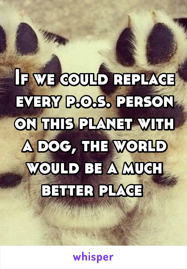If we could replace every p.o.s. person on this planet with a dog, the world would be a much better place 